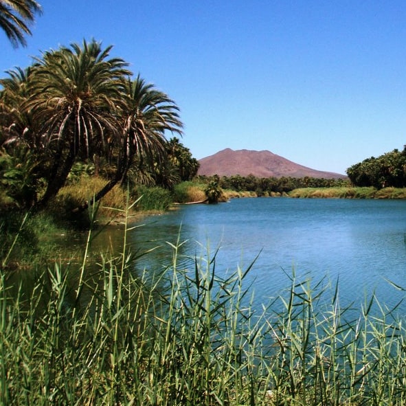 Visitar la Laguna San Ignacio en Baja California Sur